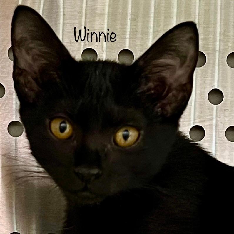 Winnie