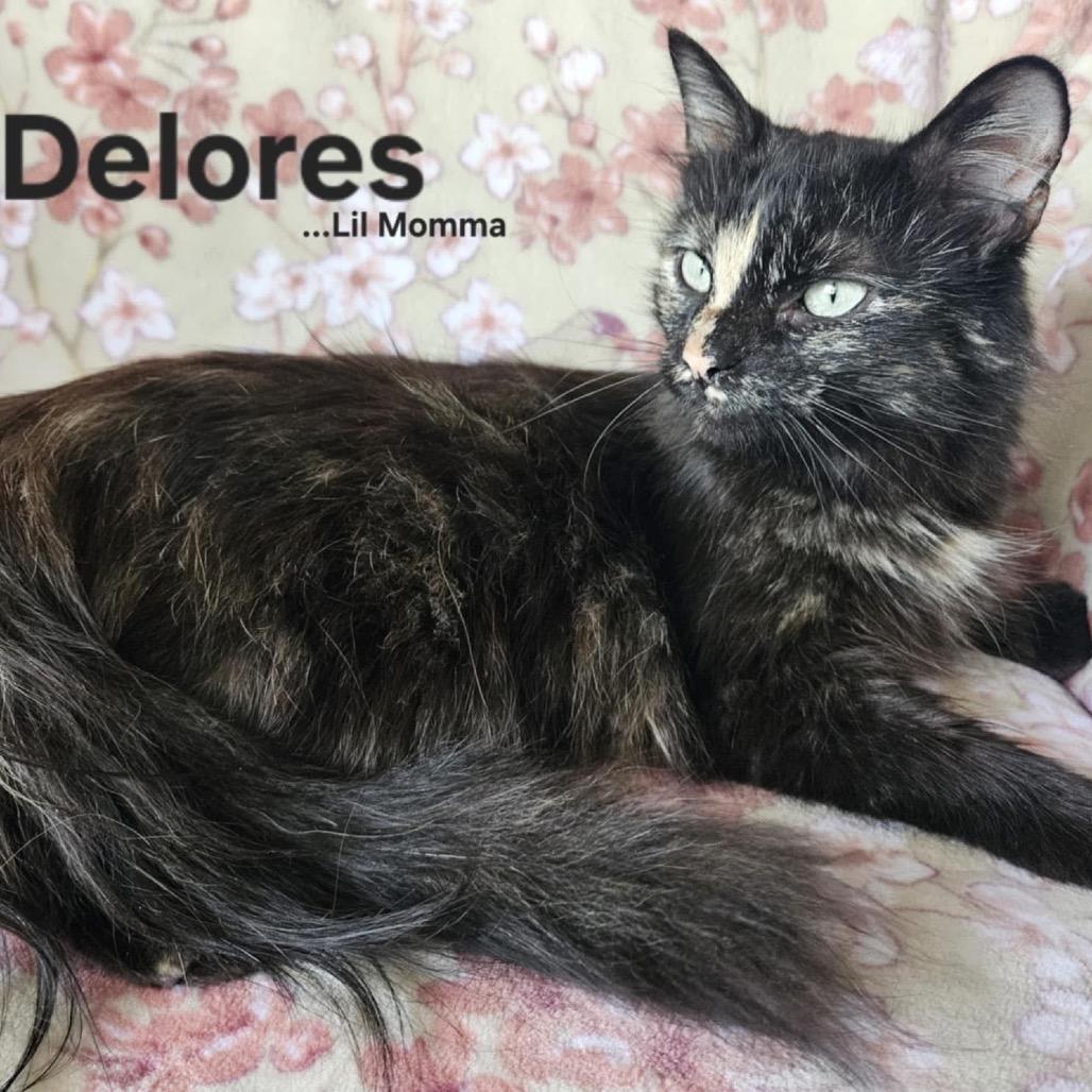 Delores aka Lil Momma