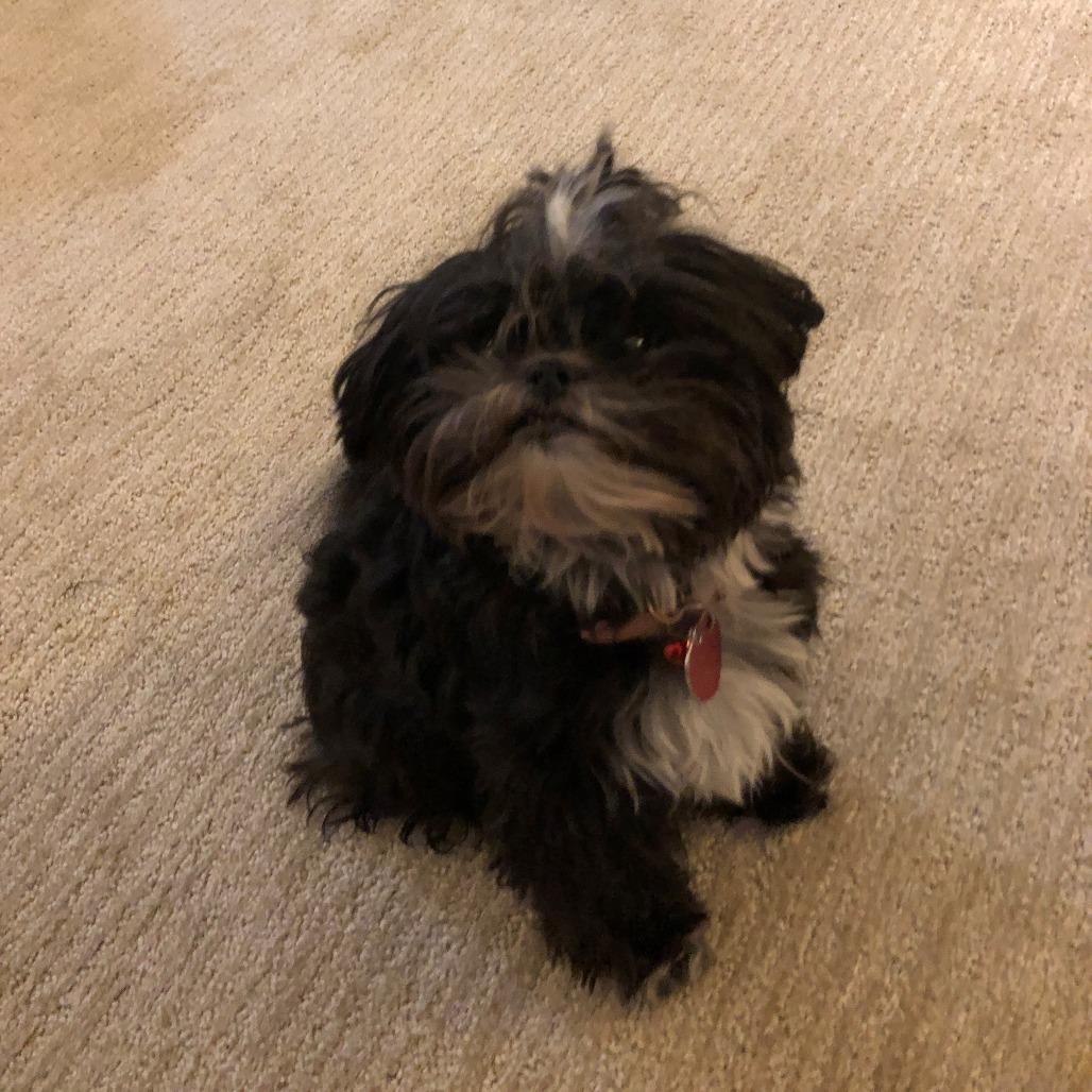 Ruby