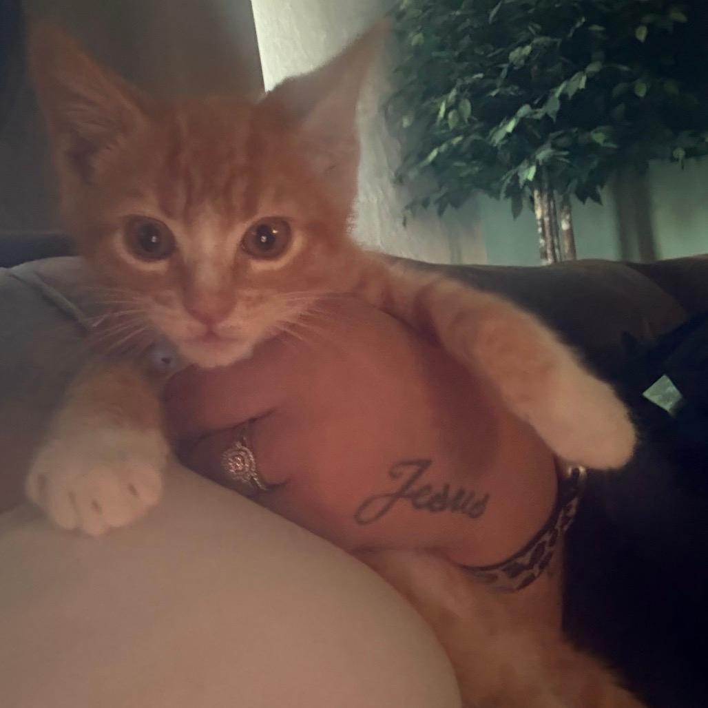 Sinatra