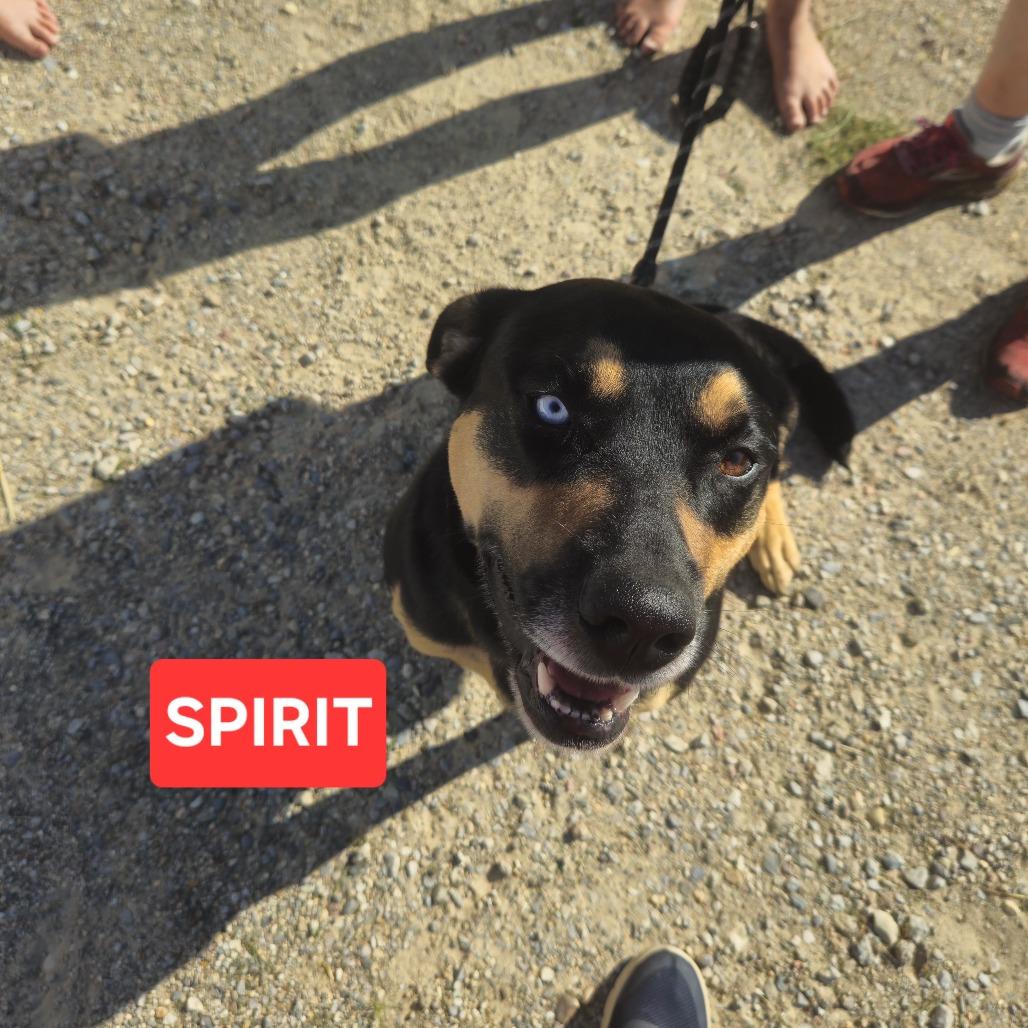 Spirit