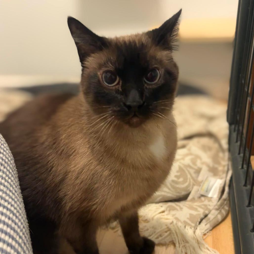 LUNA