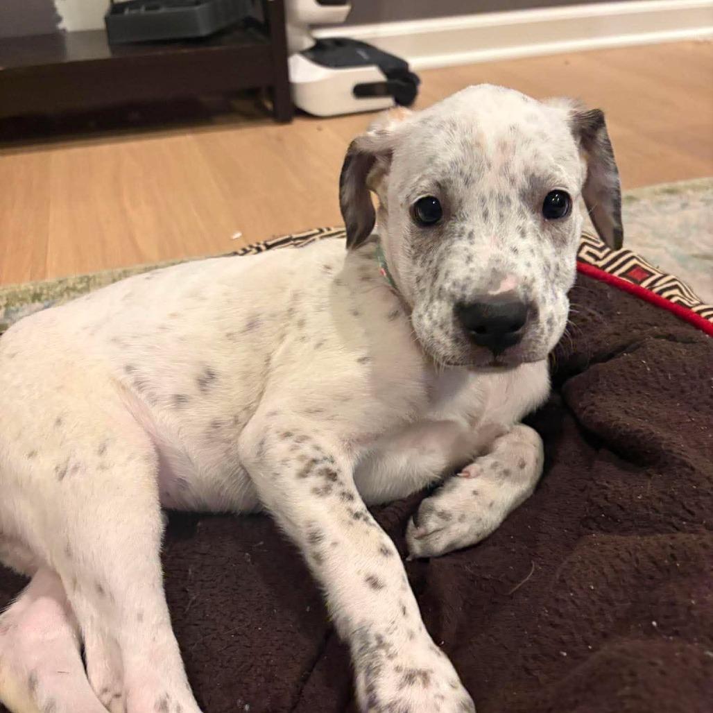 Ellie