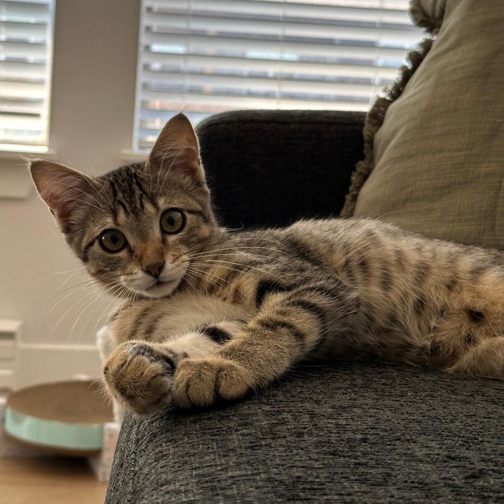 Kiki
