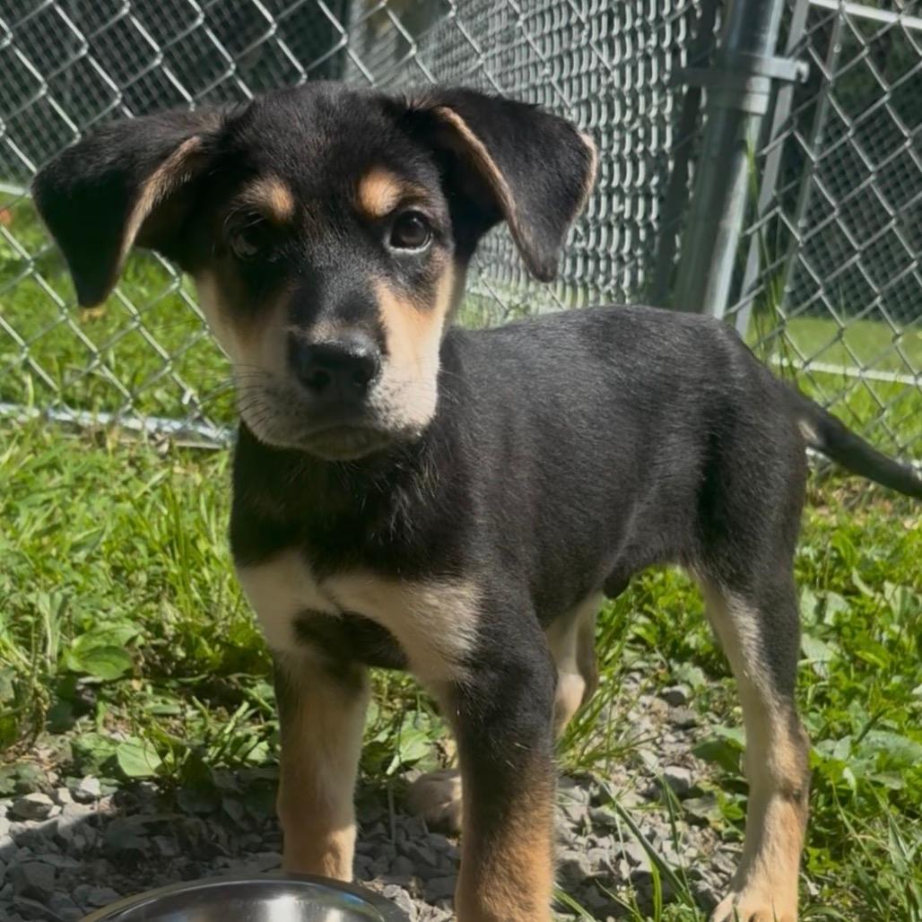 Milo
