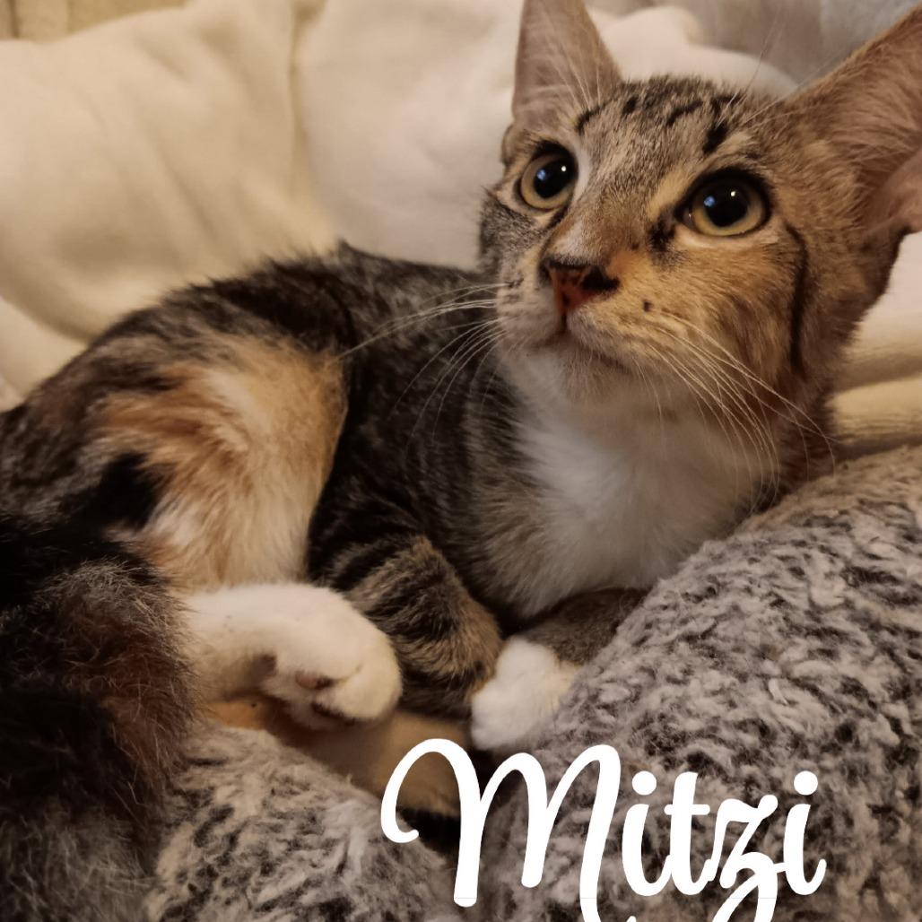 Mitzi- Mary