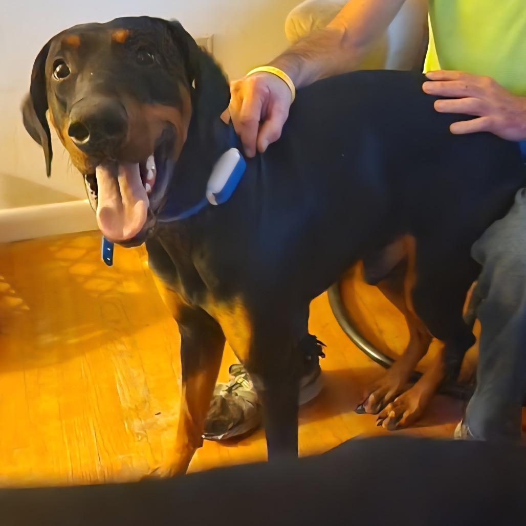 Gus M