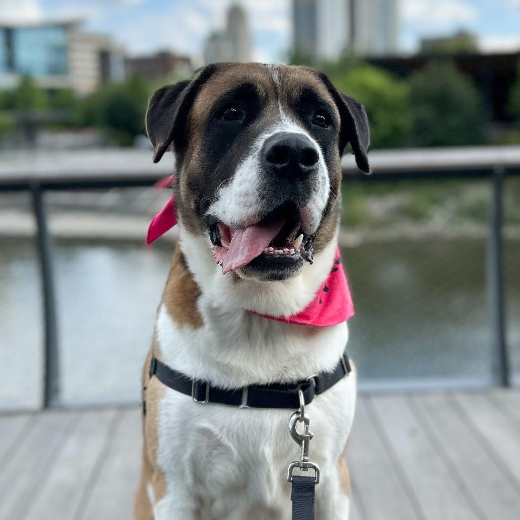 Roscoe