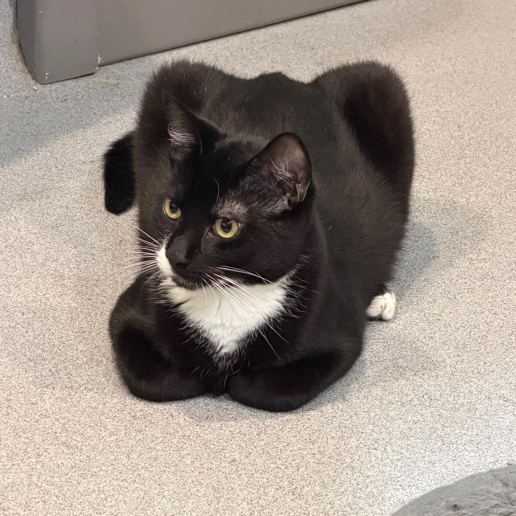 Sebastian