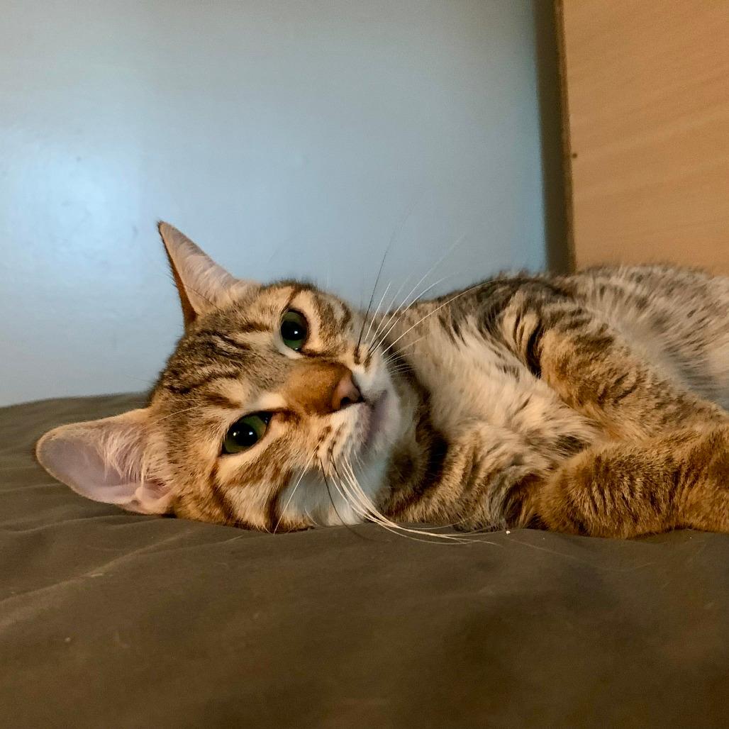 Mia-In Foster