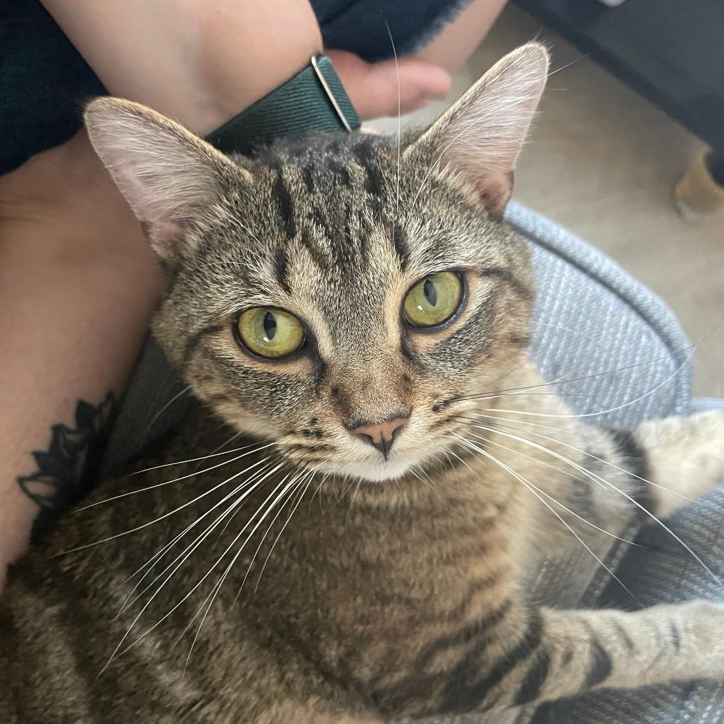 Max