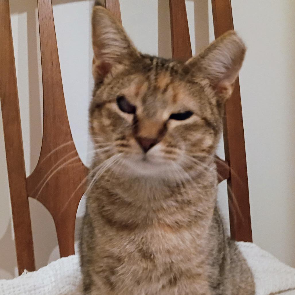 Caramel