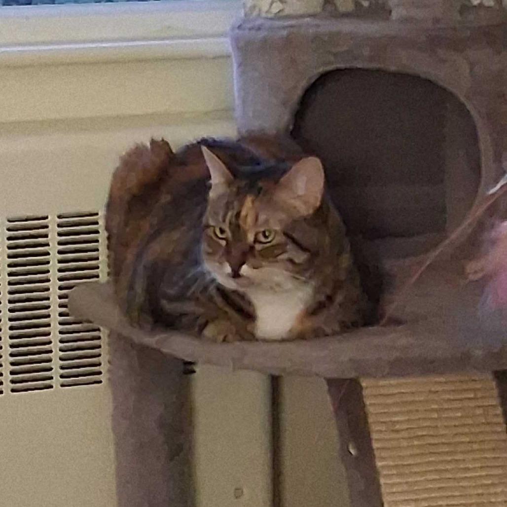 Princess