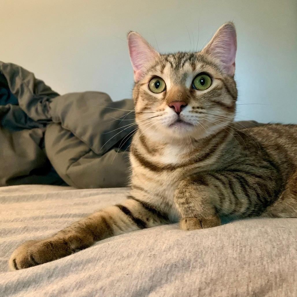 Mia-In Foster
