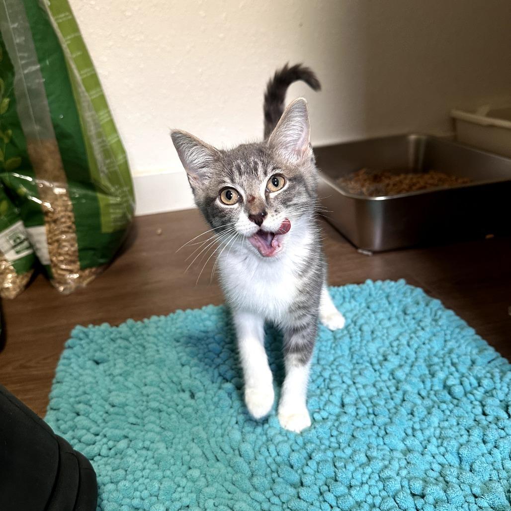 Lucille