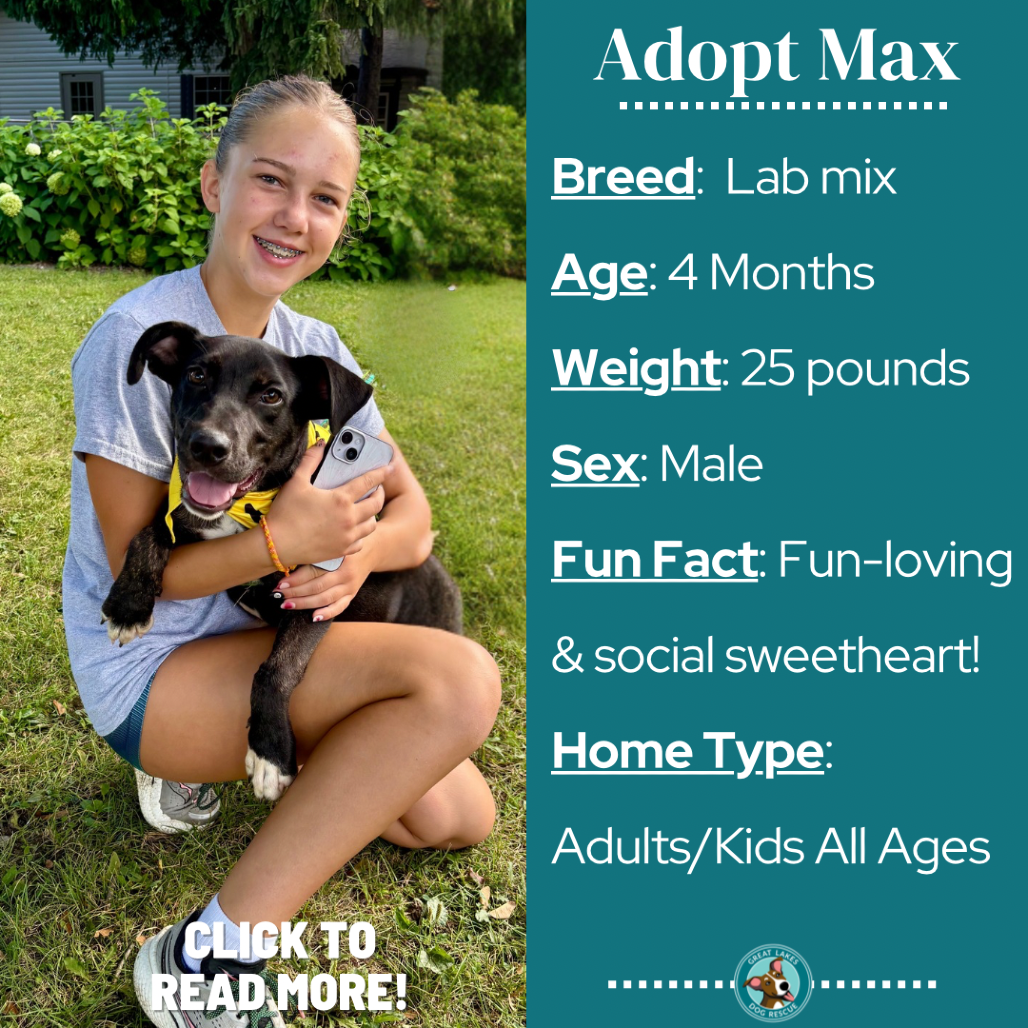 Max