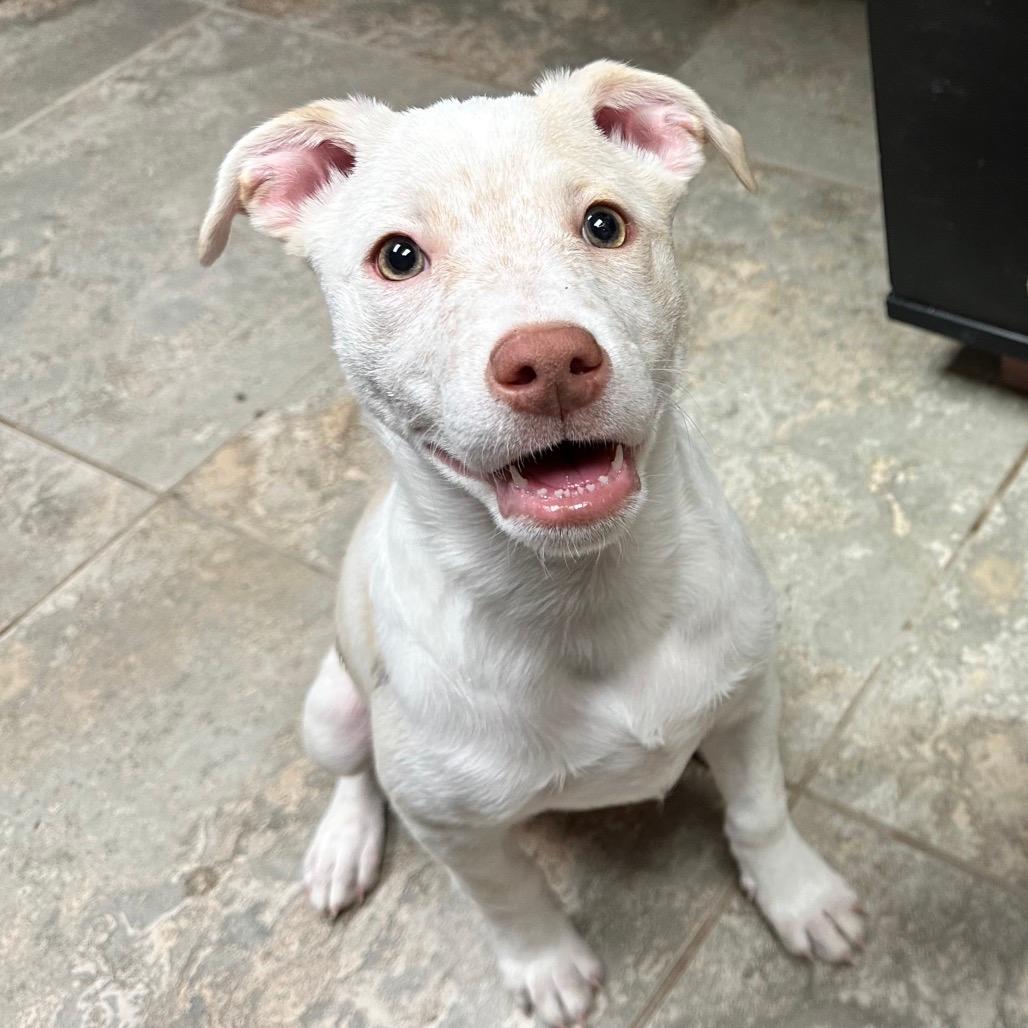 Kaia