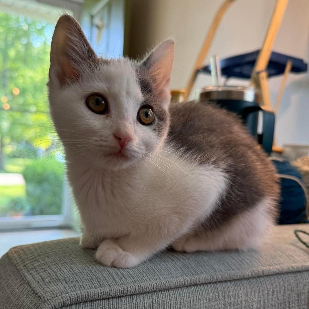 Jax