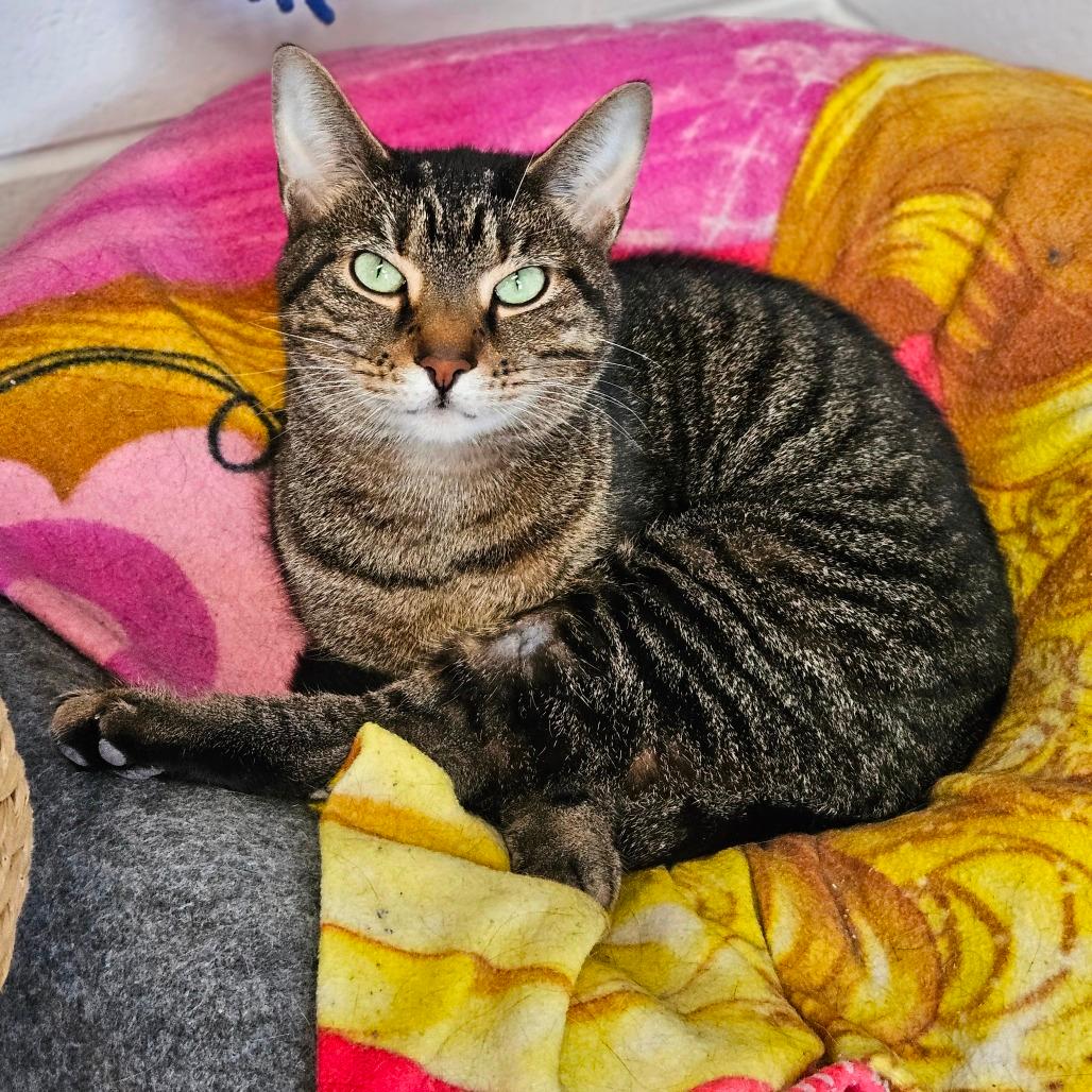 Kiki