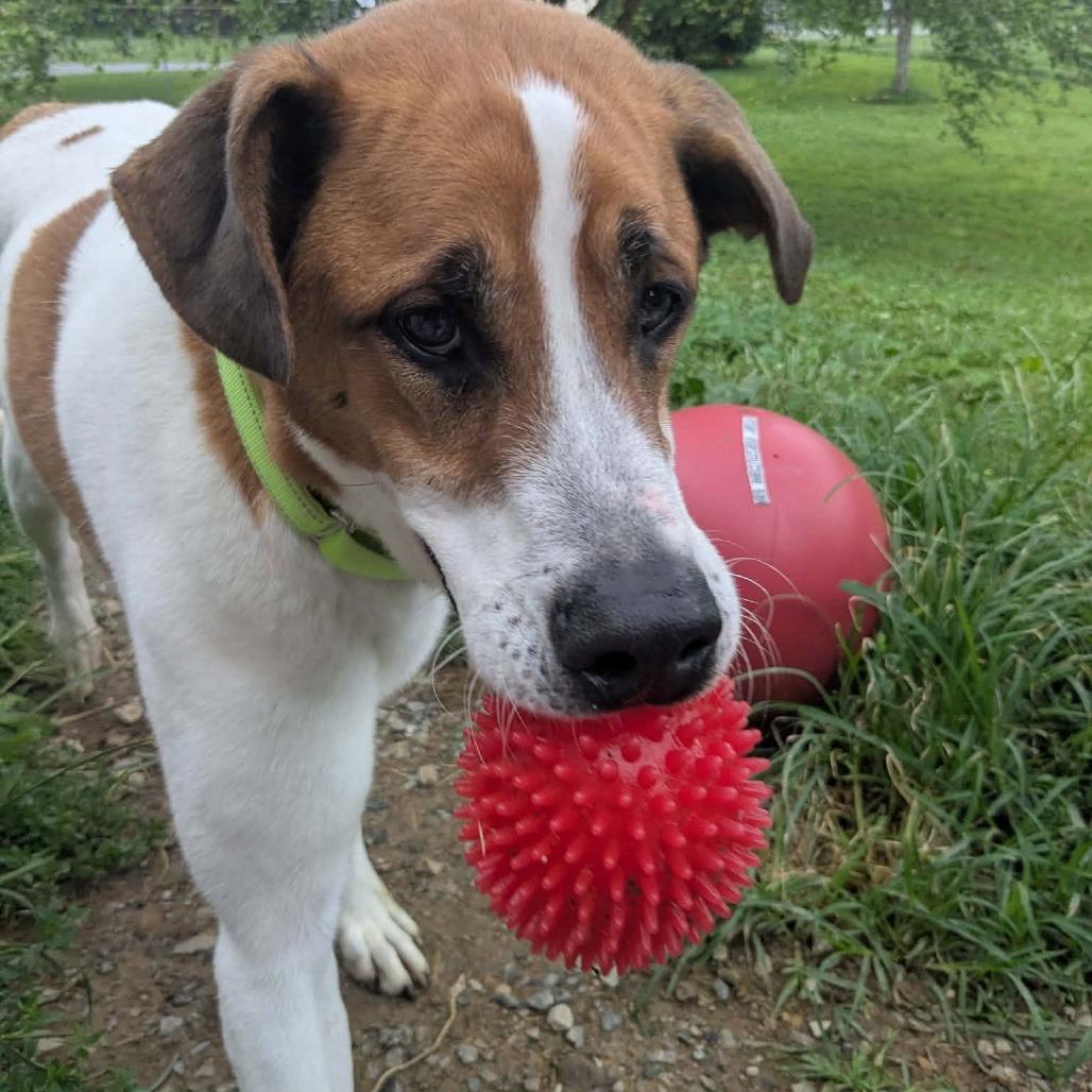 Wilson