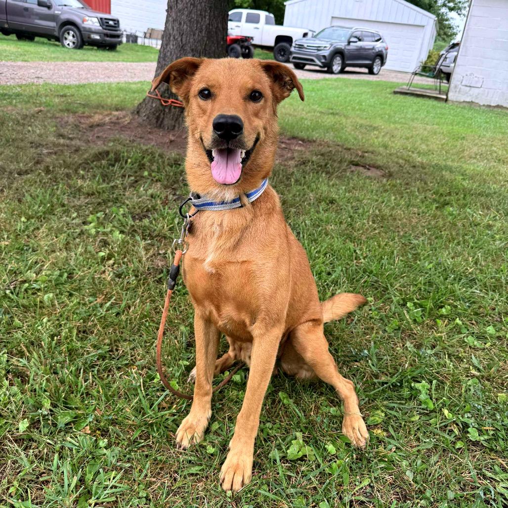 Paolo
