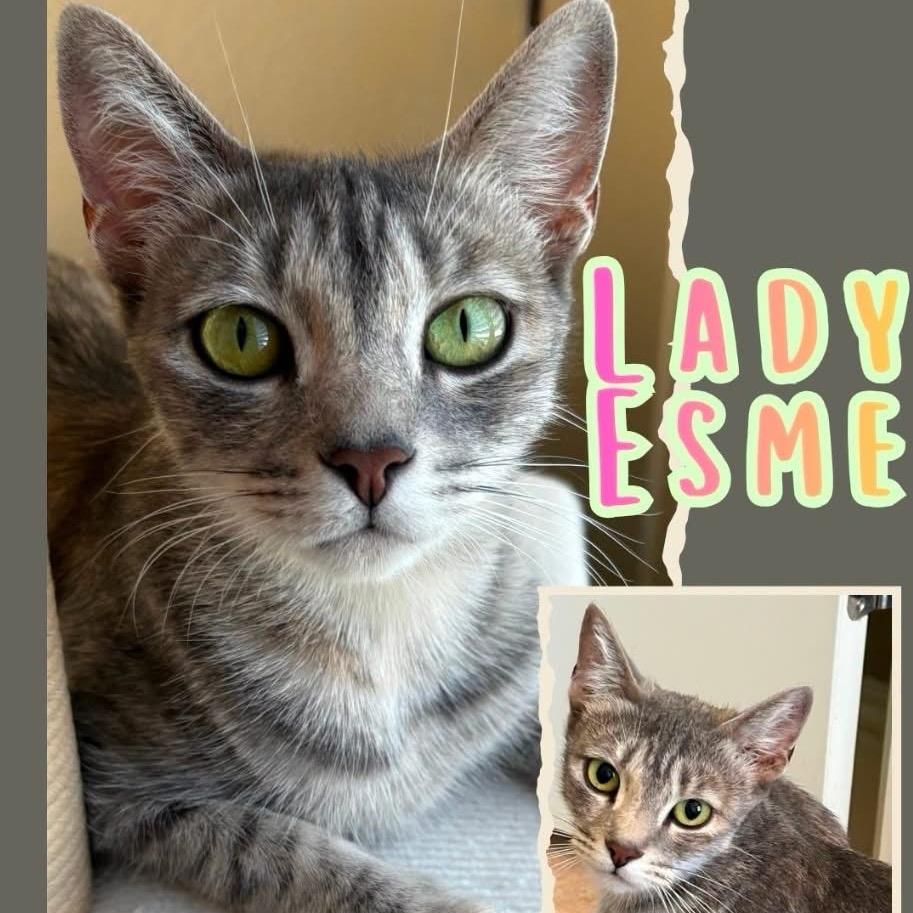 Lady Esme
