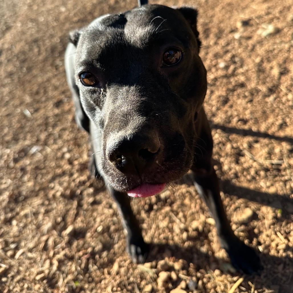 Ellie 