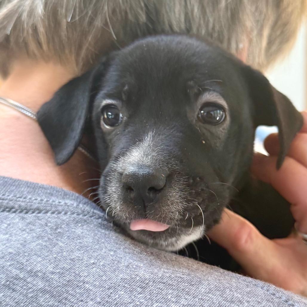 Ella