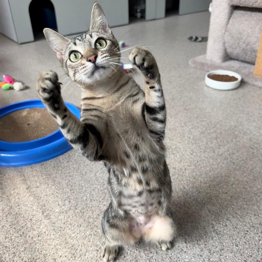 Spunky