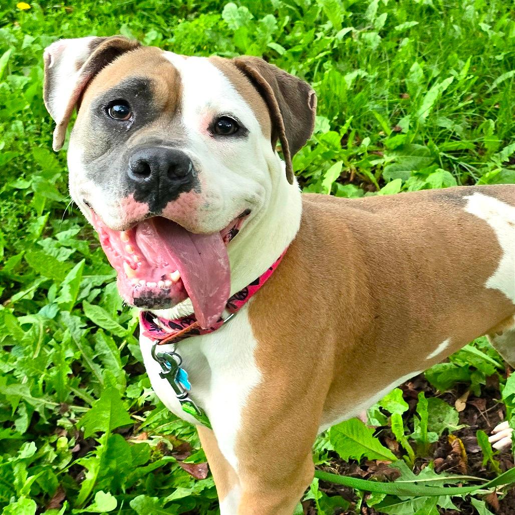 Sadie