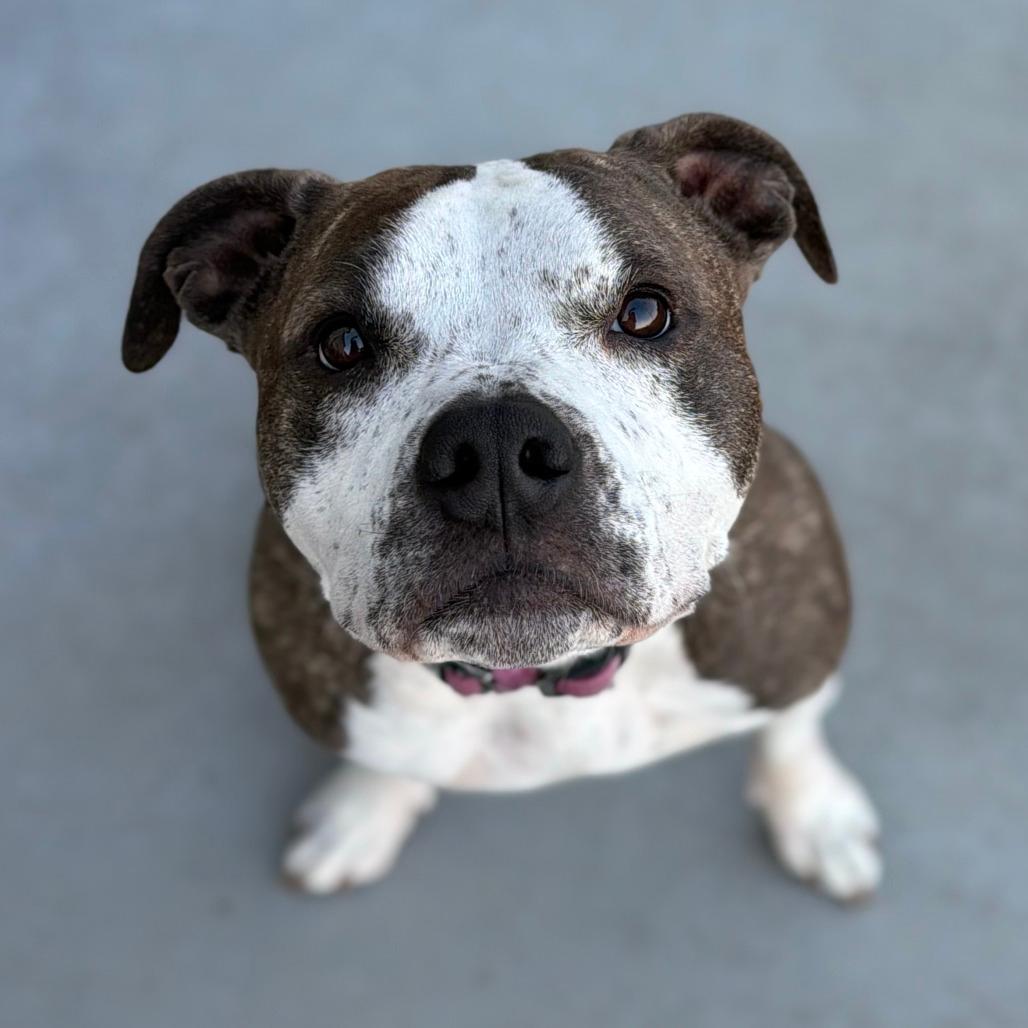 Ellie Mae