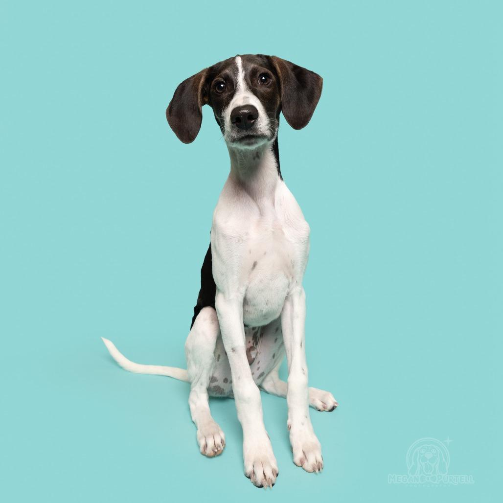 Milo