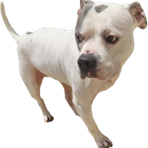Winnie (Winter)