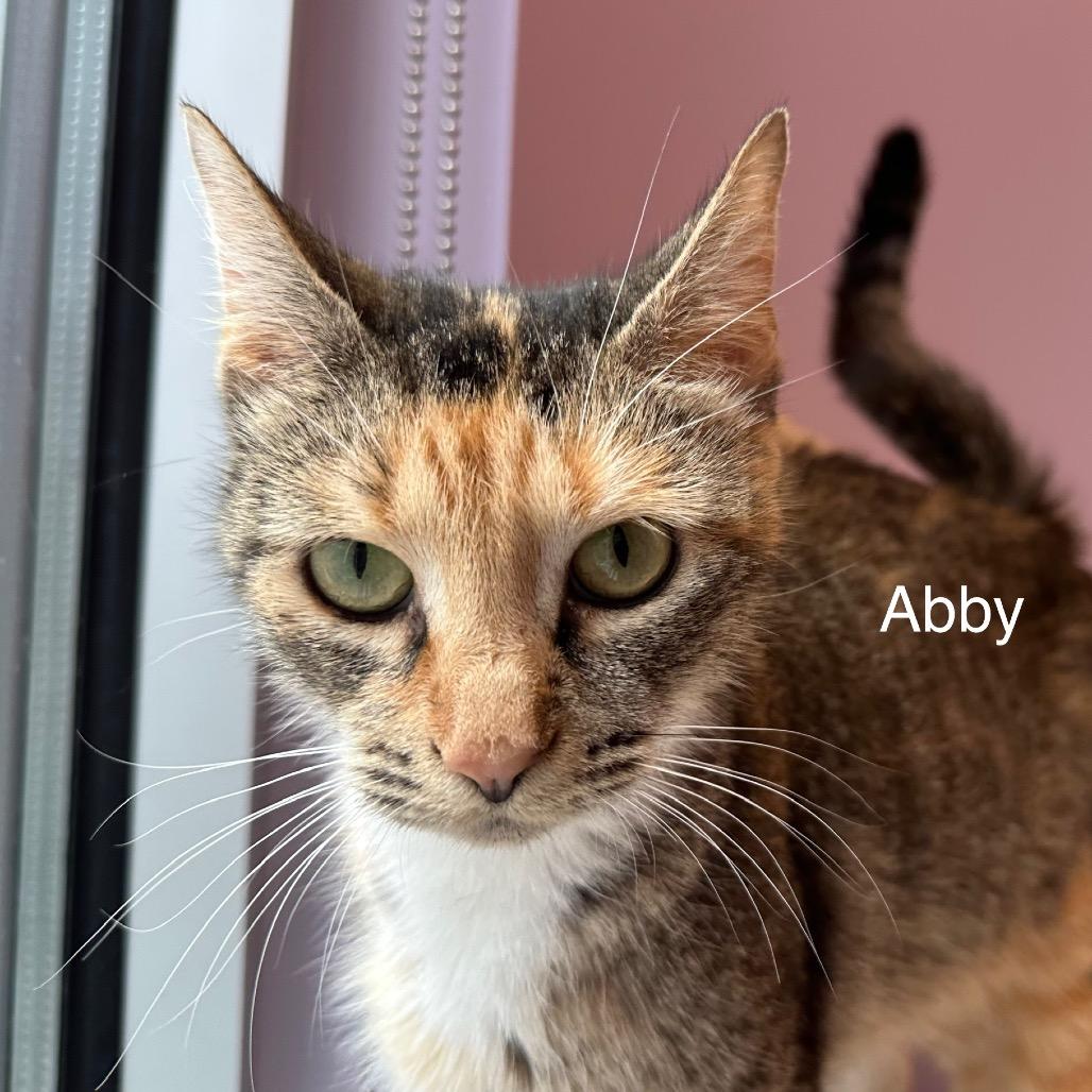 Abby