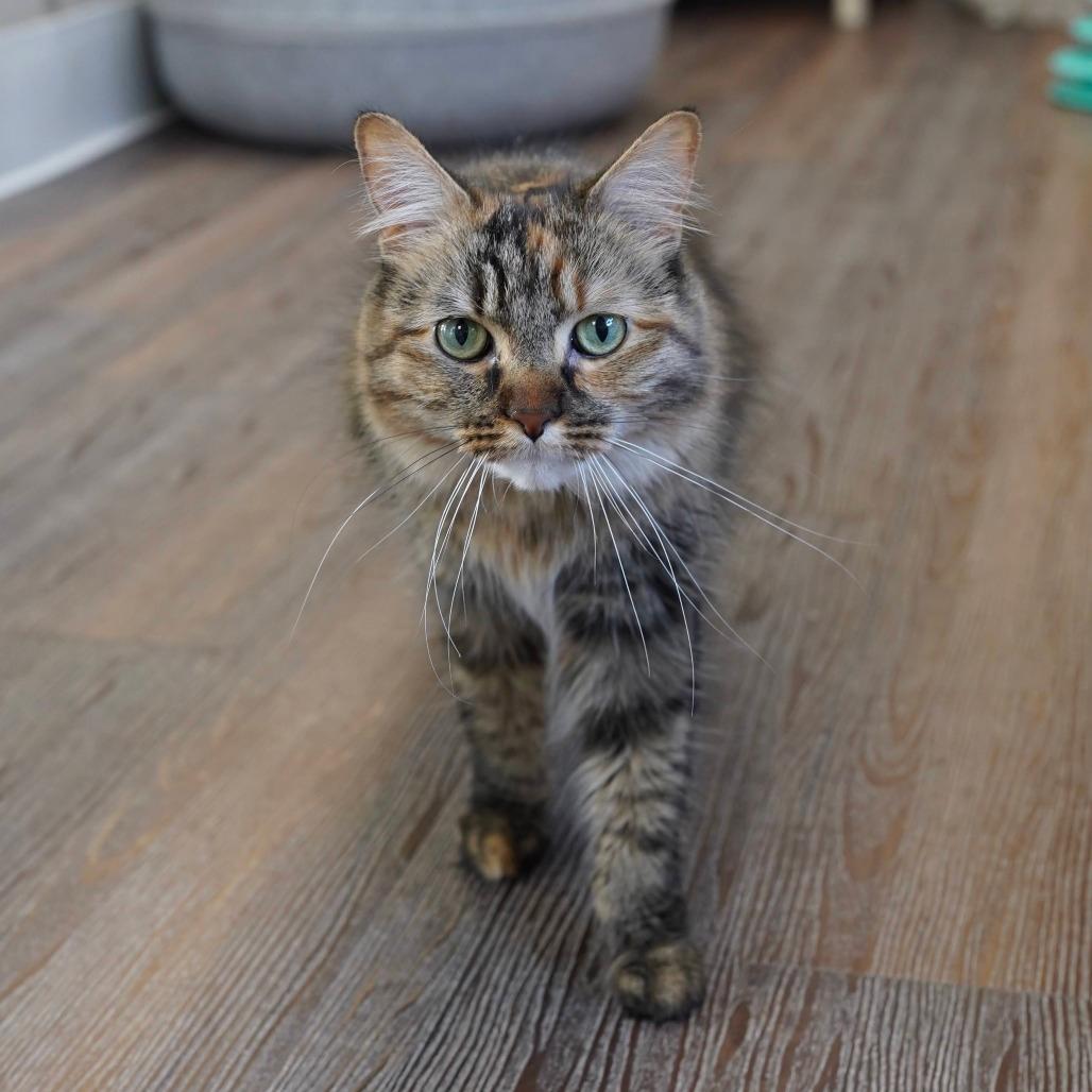Cleo
