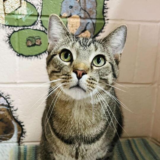 Milo