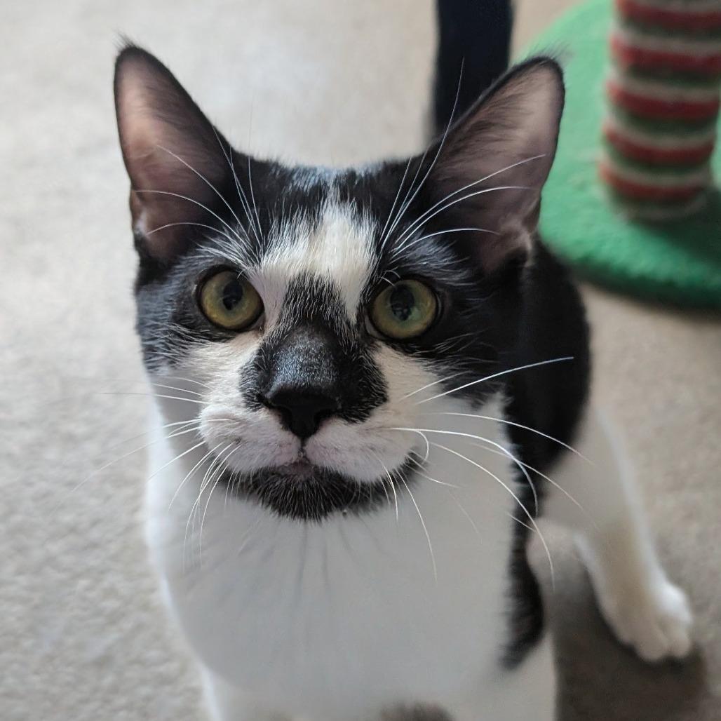 Baby Bit