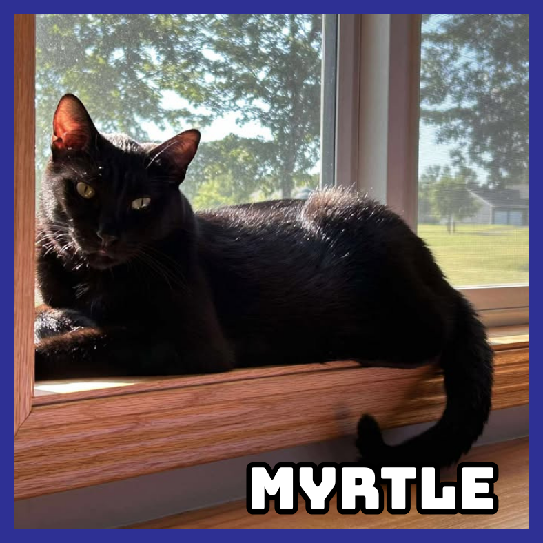 Myrtle 