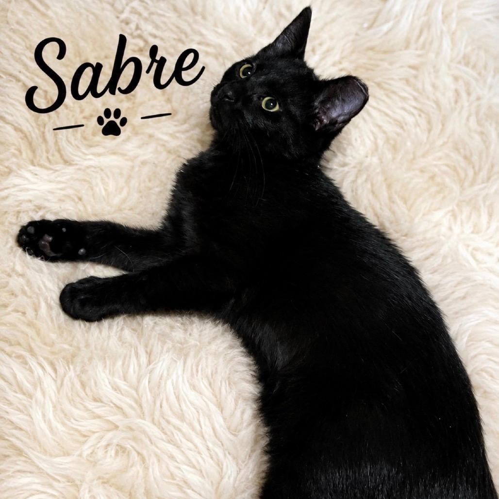 Sabre