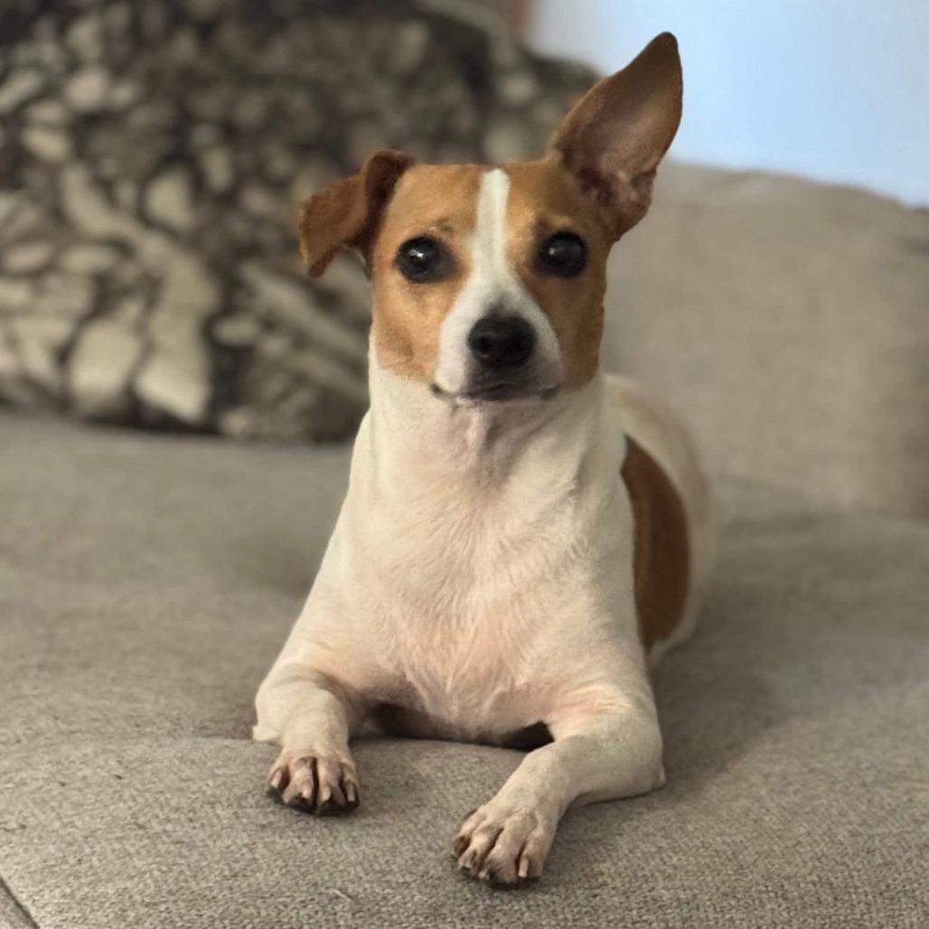 Pixel
