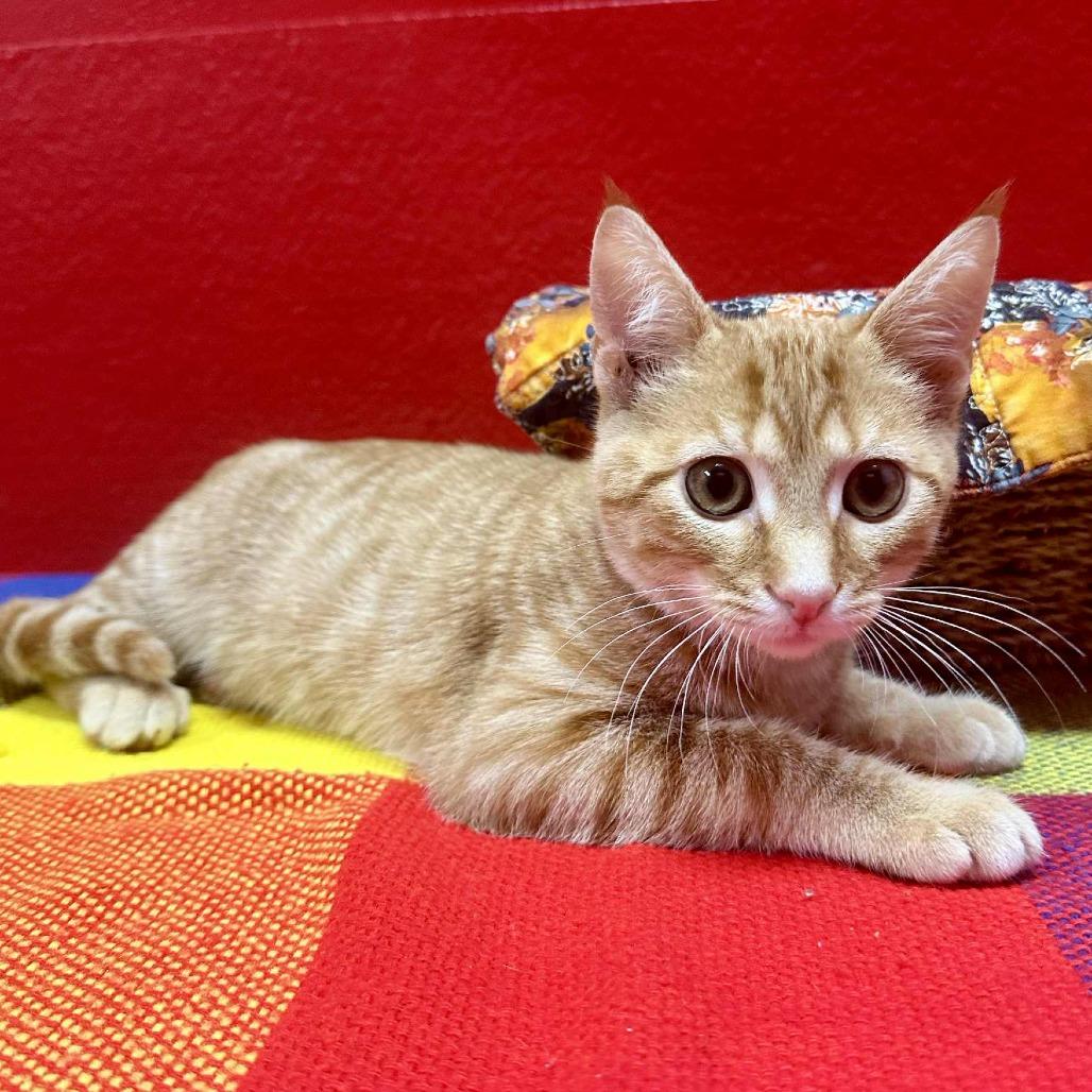 Christopher ADOPTED 