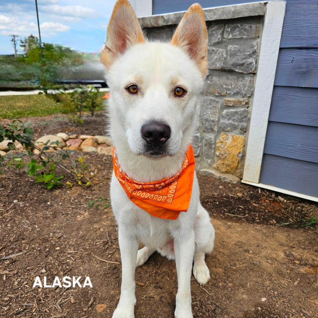 Alaska