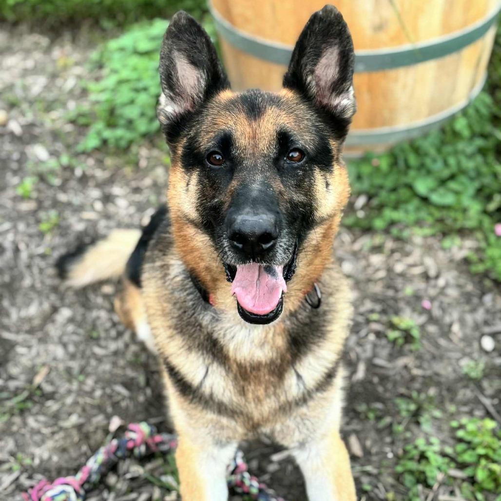 Bruce