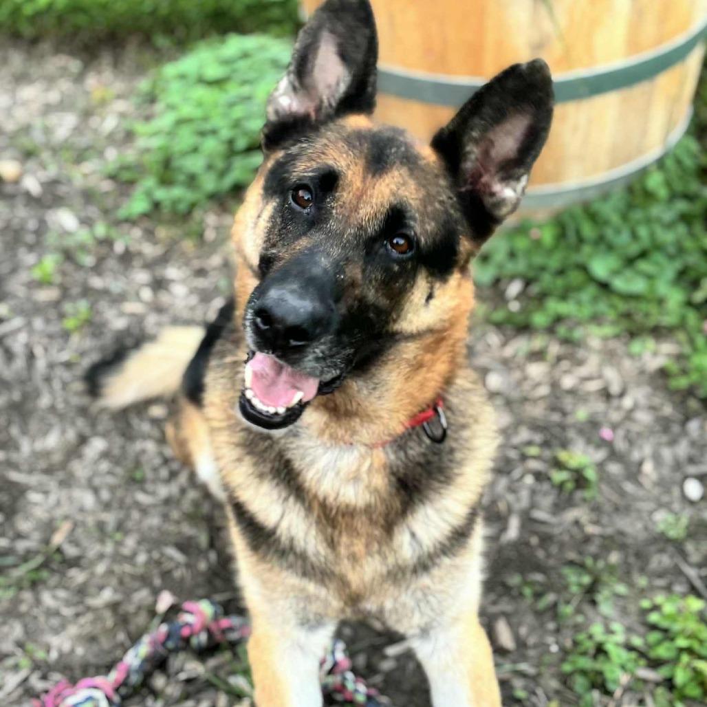Bruce