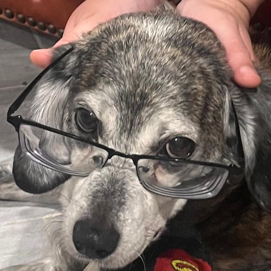 Sheldon