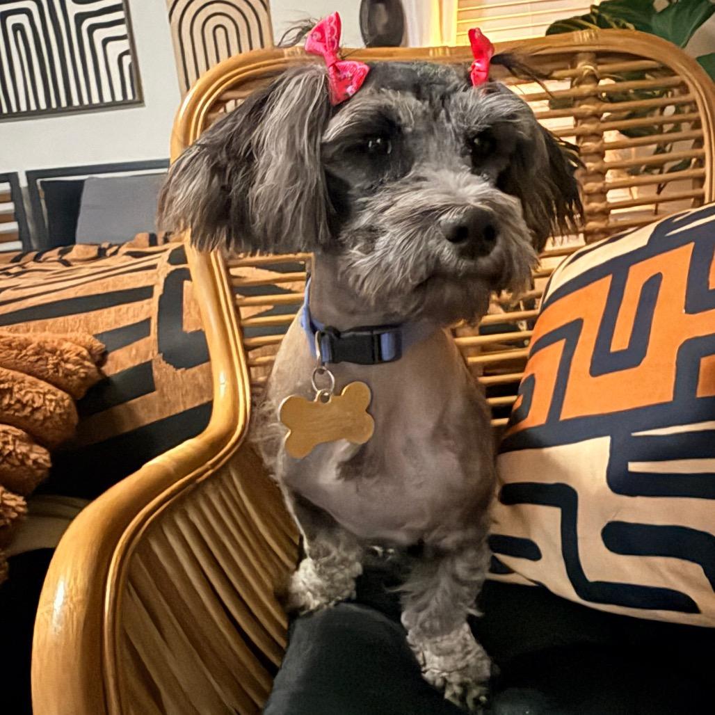 Bella
