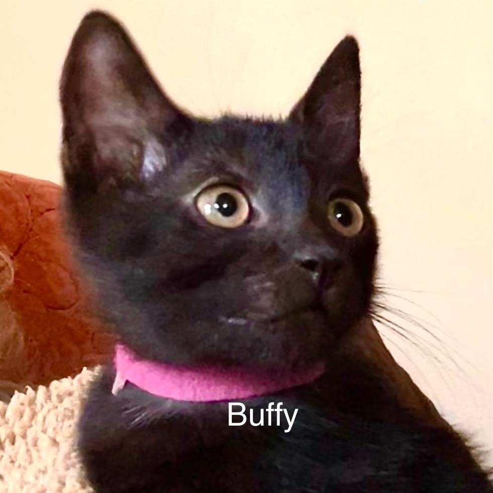 Buffy