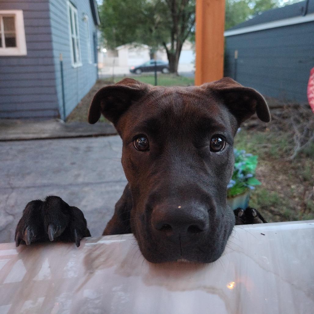 Daisy Mae