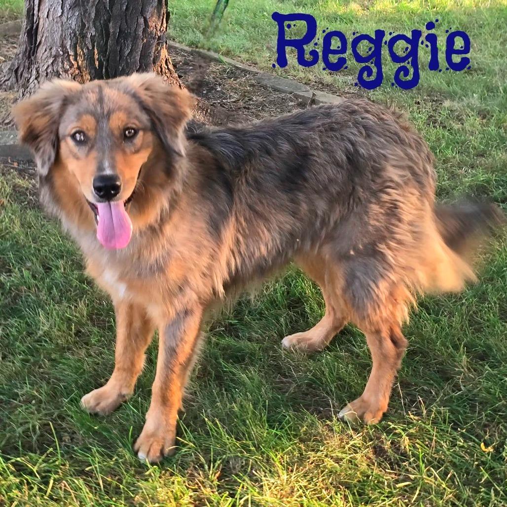 Reggie