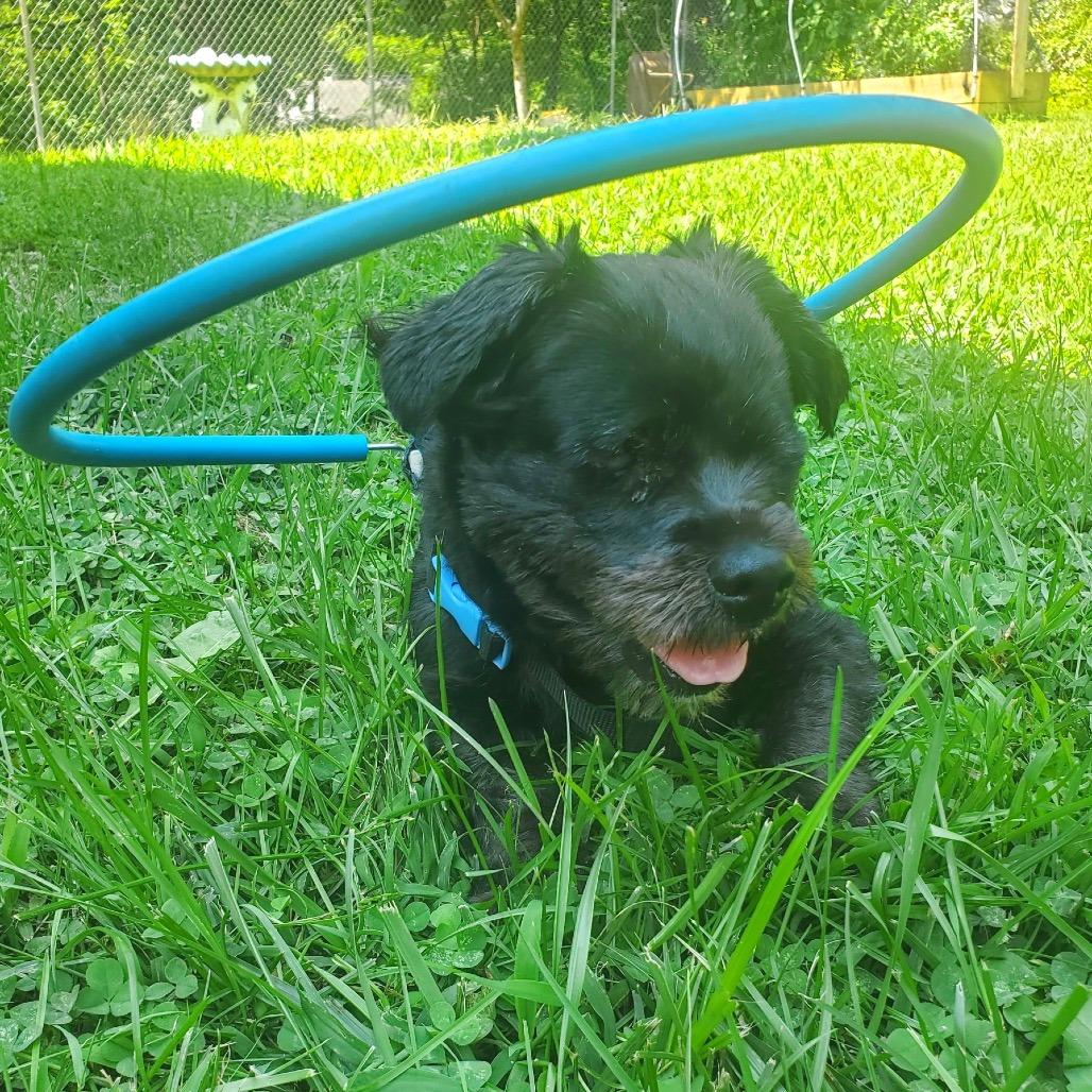 Nena